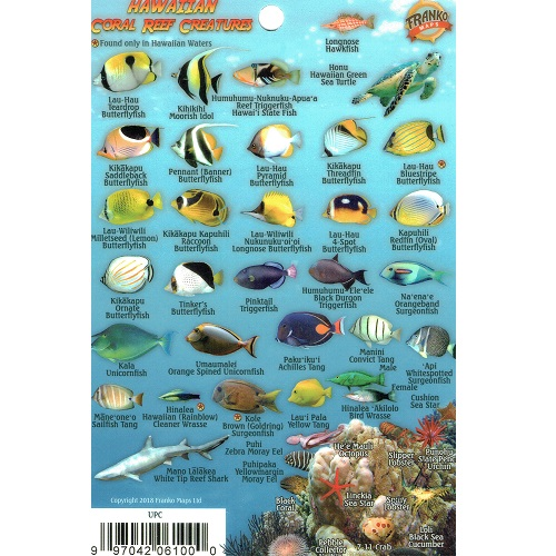 Reef Fish ID, Hawaii Mini